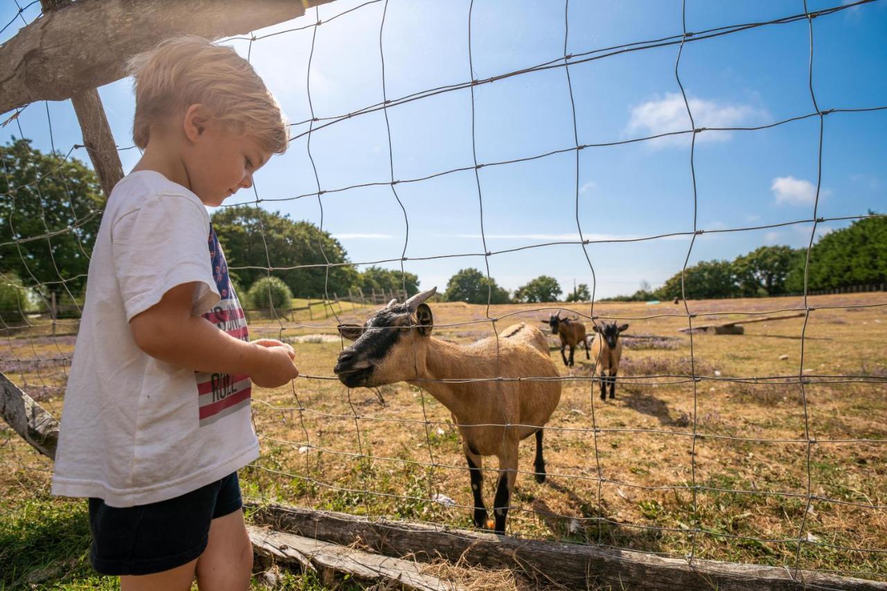 Camping Les Brillas Les Moutiers Kültér fotó